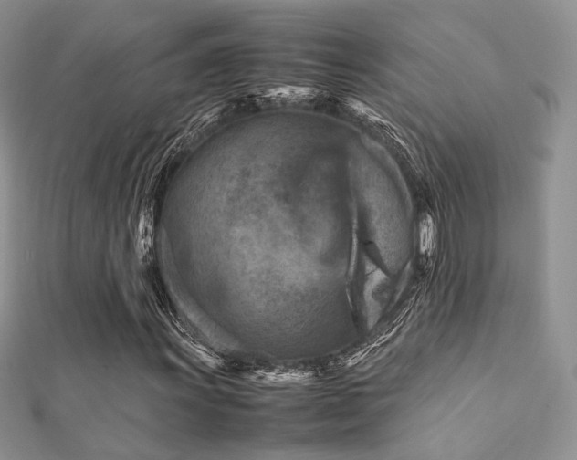 X0000112411011200908141355