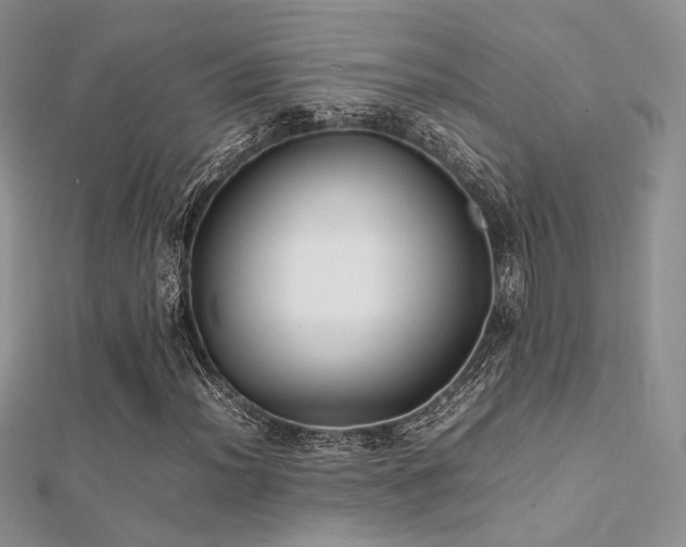 X0000112411012200908141355