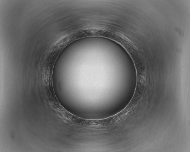 X0000112411014200908141355