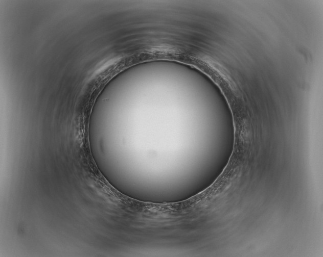 X0000112411015200908141355