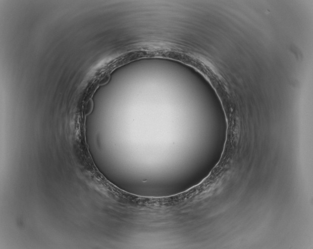 X0000112411016200908141355
