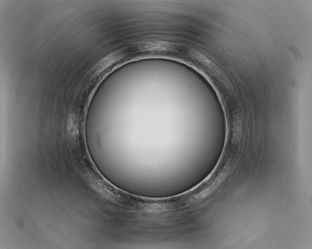 X0000112411017200908141355