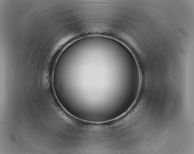 X0000112411018200908141355
