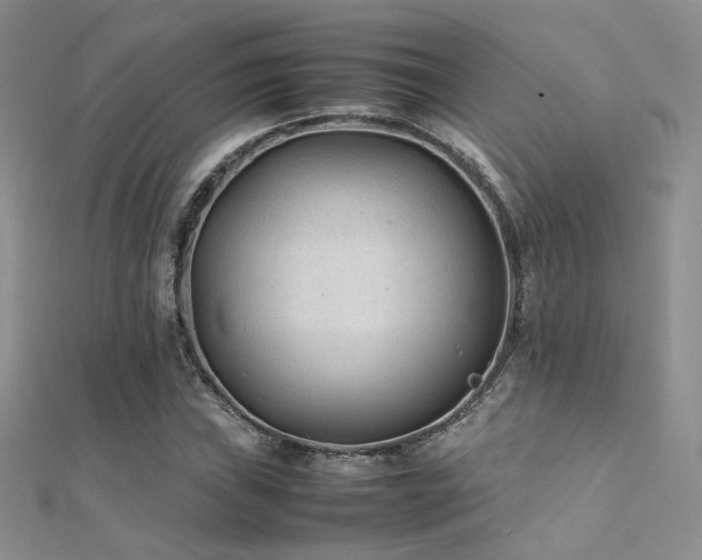 X0000112411019200908141355