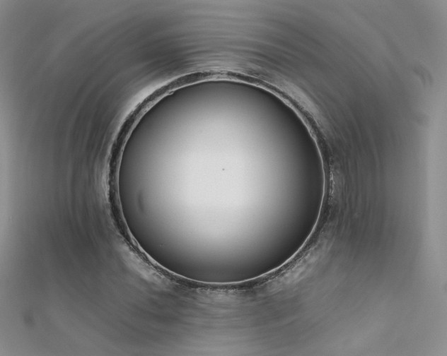 X0000112411020200908141355
