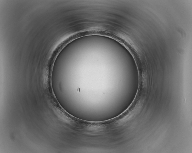 X0000112411021200908141355