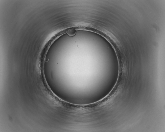 X0000112411022200908141355