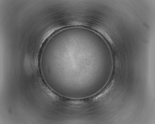 X0000112411023200908141355