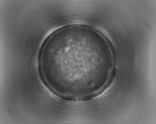 X0000112411024200908141356