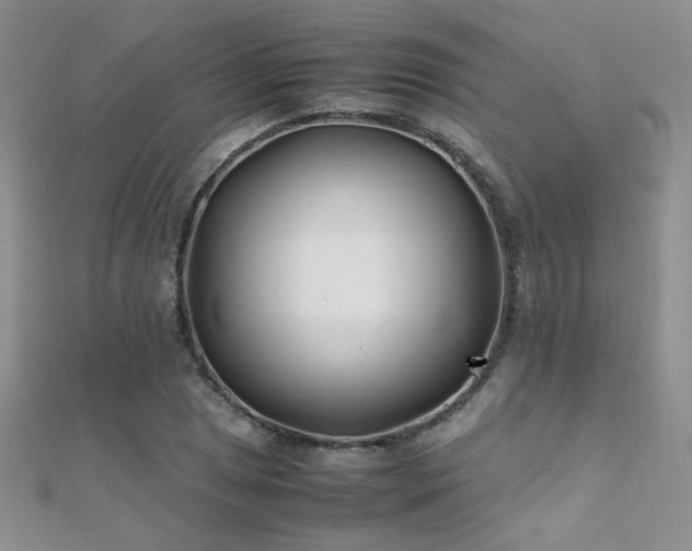 X0000112411025200908141356