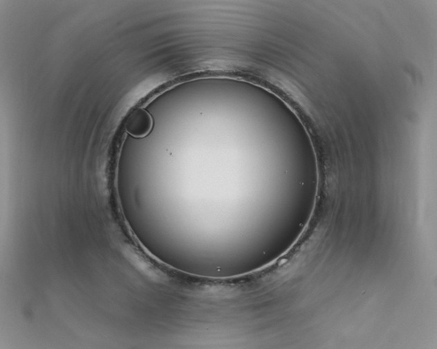 X0000112411026200908141356
