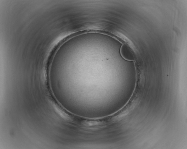 X0000112411027200908141356