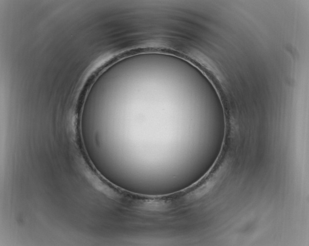X0000112411029200908141356