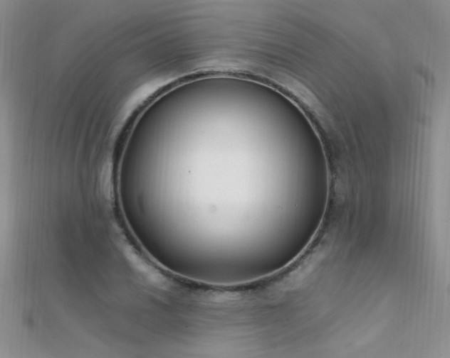 X0000112411030200908141356