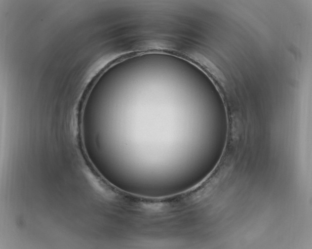 X0000112411031200908141356