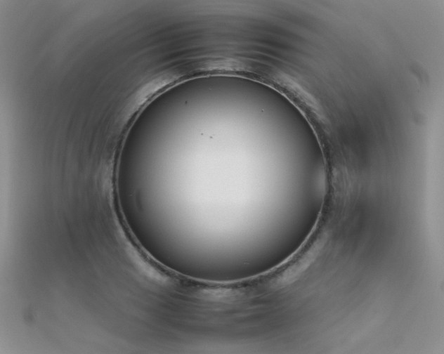X0000112411033200908141356
