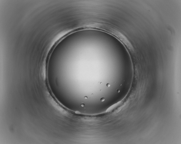 X0000112411036200908141356