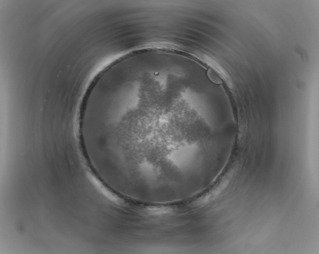X0000112411037200908141356