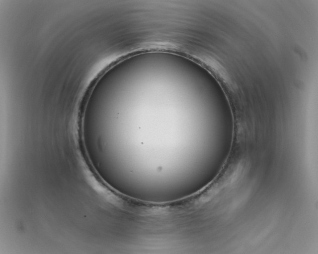 X0000112411038200908141356