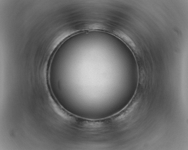 X0000112411039200908141356