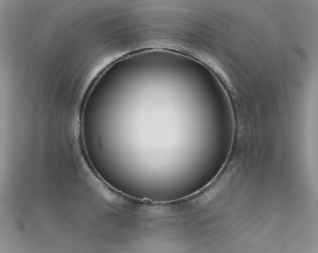 X0000112411040200908141356