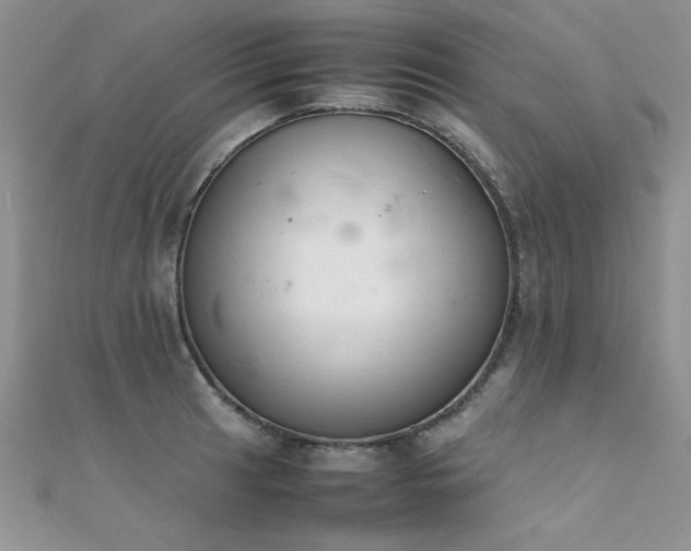 X0000112411041200908141356