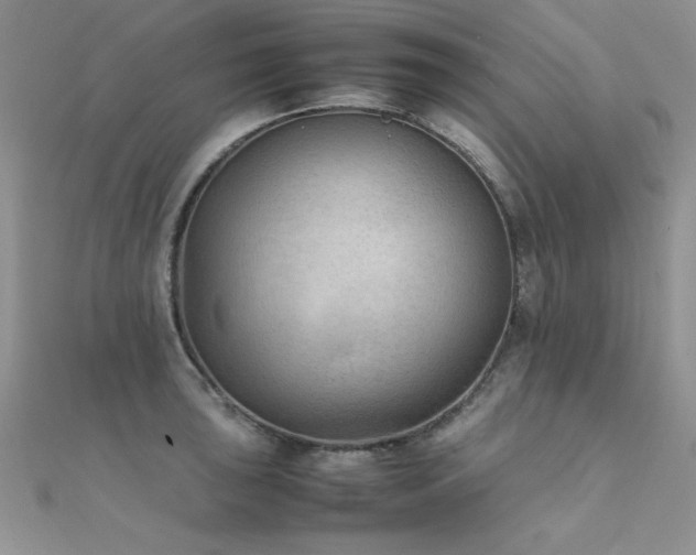 X0000112411043200908141356
