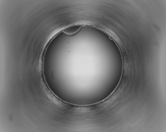 X0000112411044200908141356