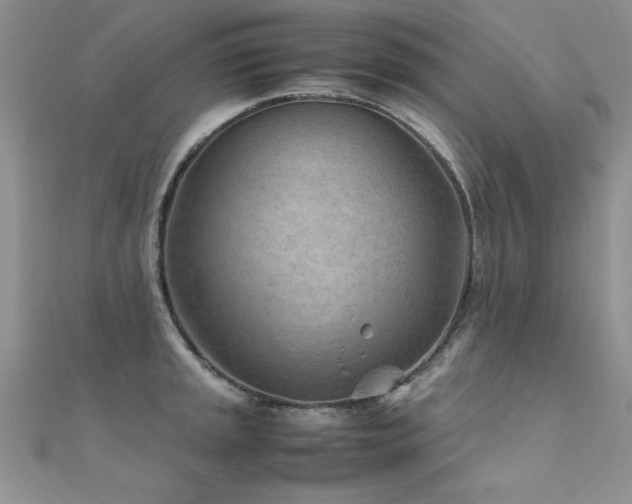 X0000112411045200908141356
