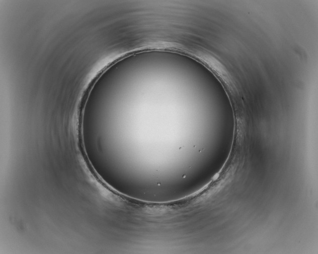 X0000112411046200908141356