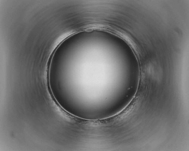 X0000112411050200908141356