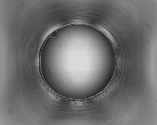 X0000112411051200908141356
