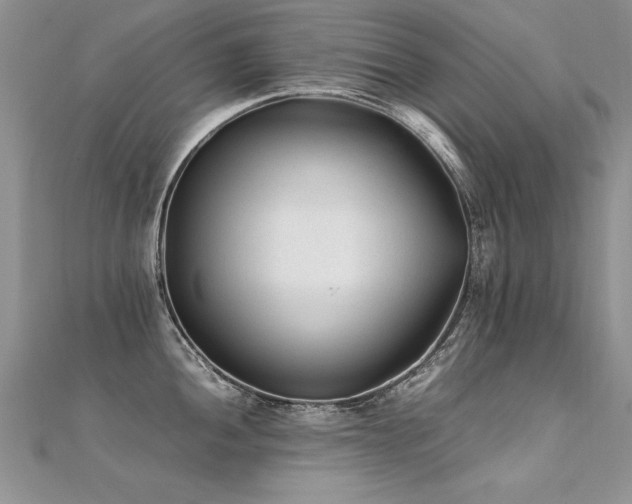 X0000112411052200908141356