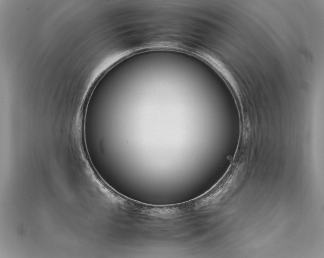 X0000112411053200908141356