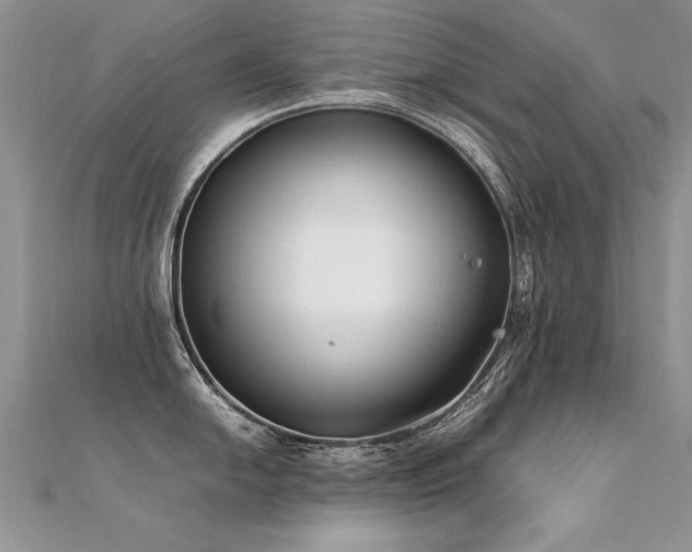 X0000112411054200908141356