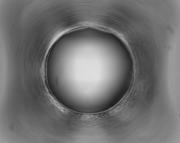 X0000112411056200908141356