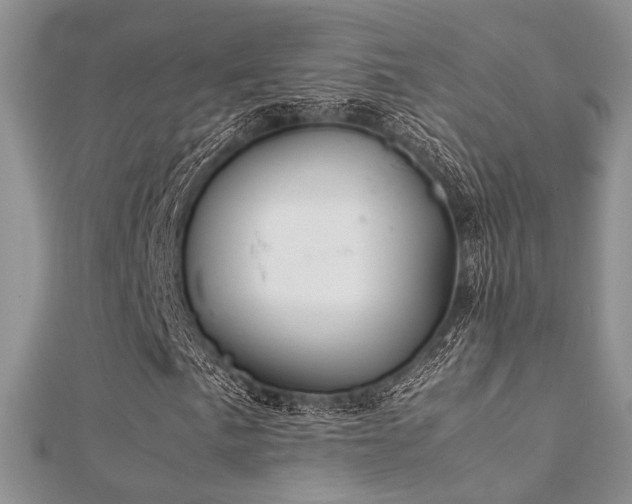 X0000112411057200908141355