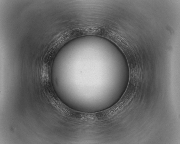 X0000112411058200908141355