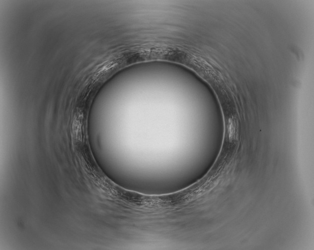 X0000112411059200908141355