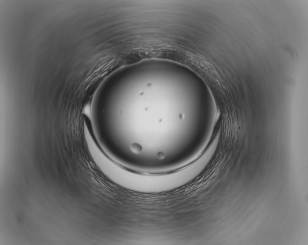 X0000112411060200908141355