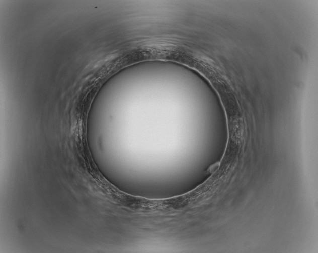 X0000112411061200908141355