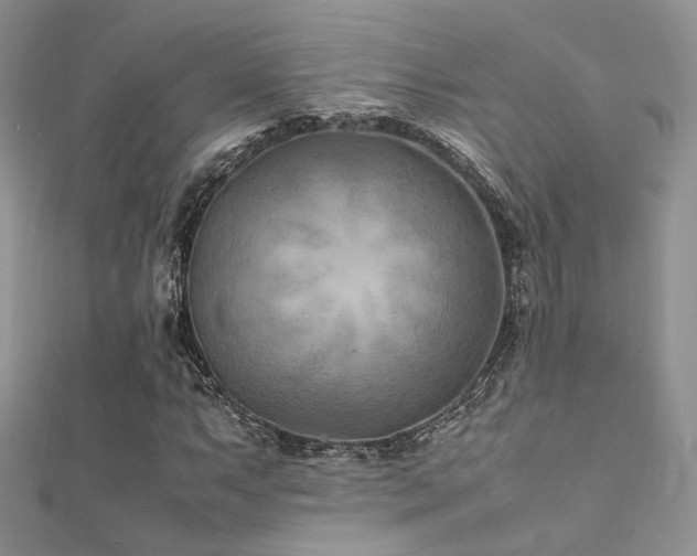 X0000112411063200908141355