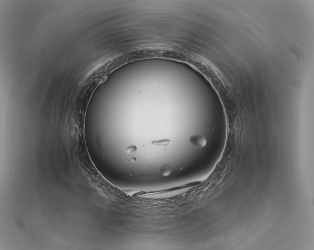 X0000112411064200908141355