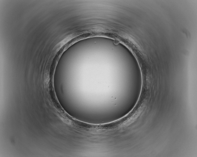 X0000112411065200908141355