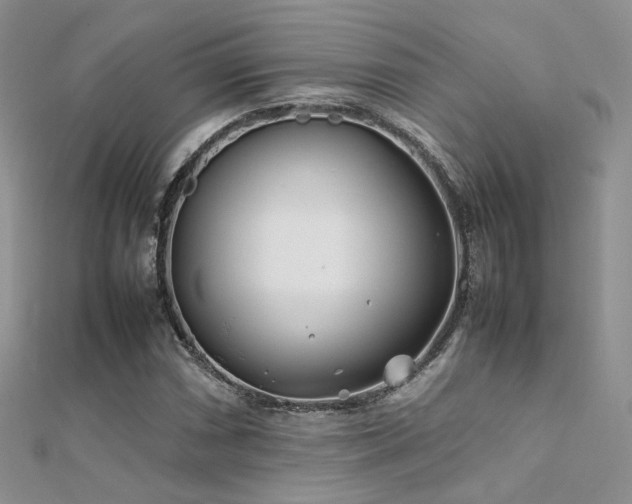 X0000112411066200908141355