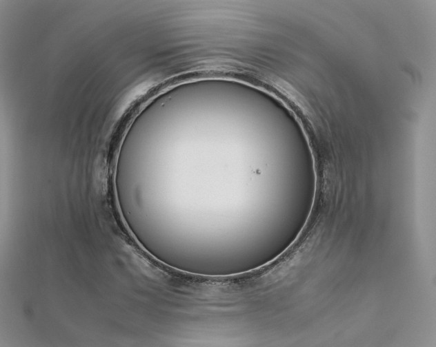X0000112411067200908141355