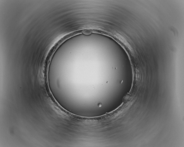 X0000112411068200908141355