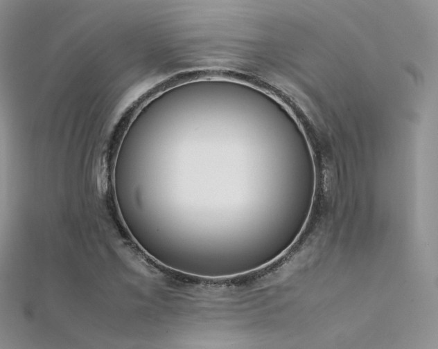 X0000112411069200908141355