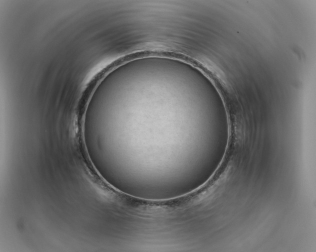 X0000112411070200908141355