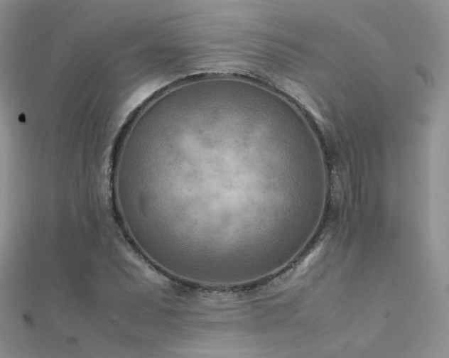X0000112411071200908141355